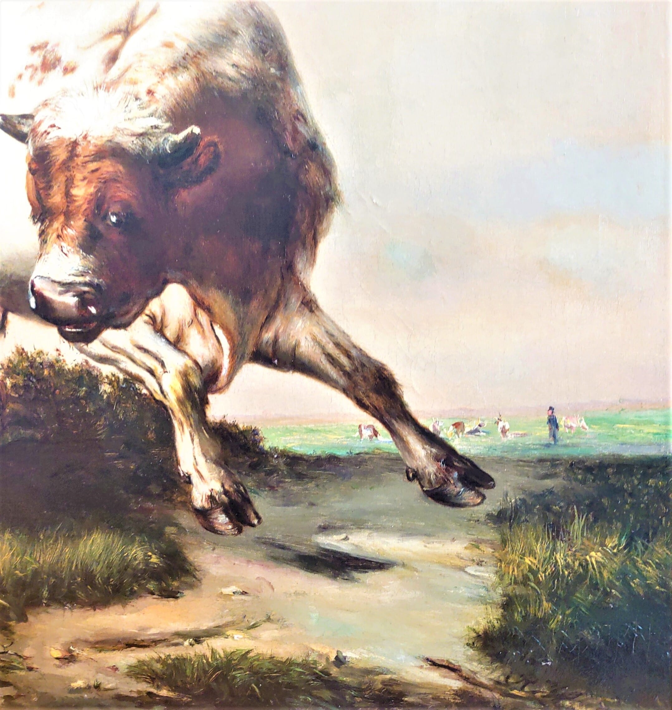Wilder Stier - Ölgemälde von Carl Rudolf Huber <br><span class="got-person">Carl Rudolf Huber</span> – Bild 3