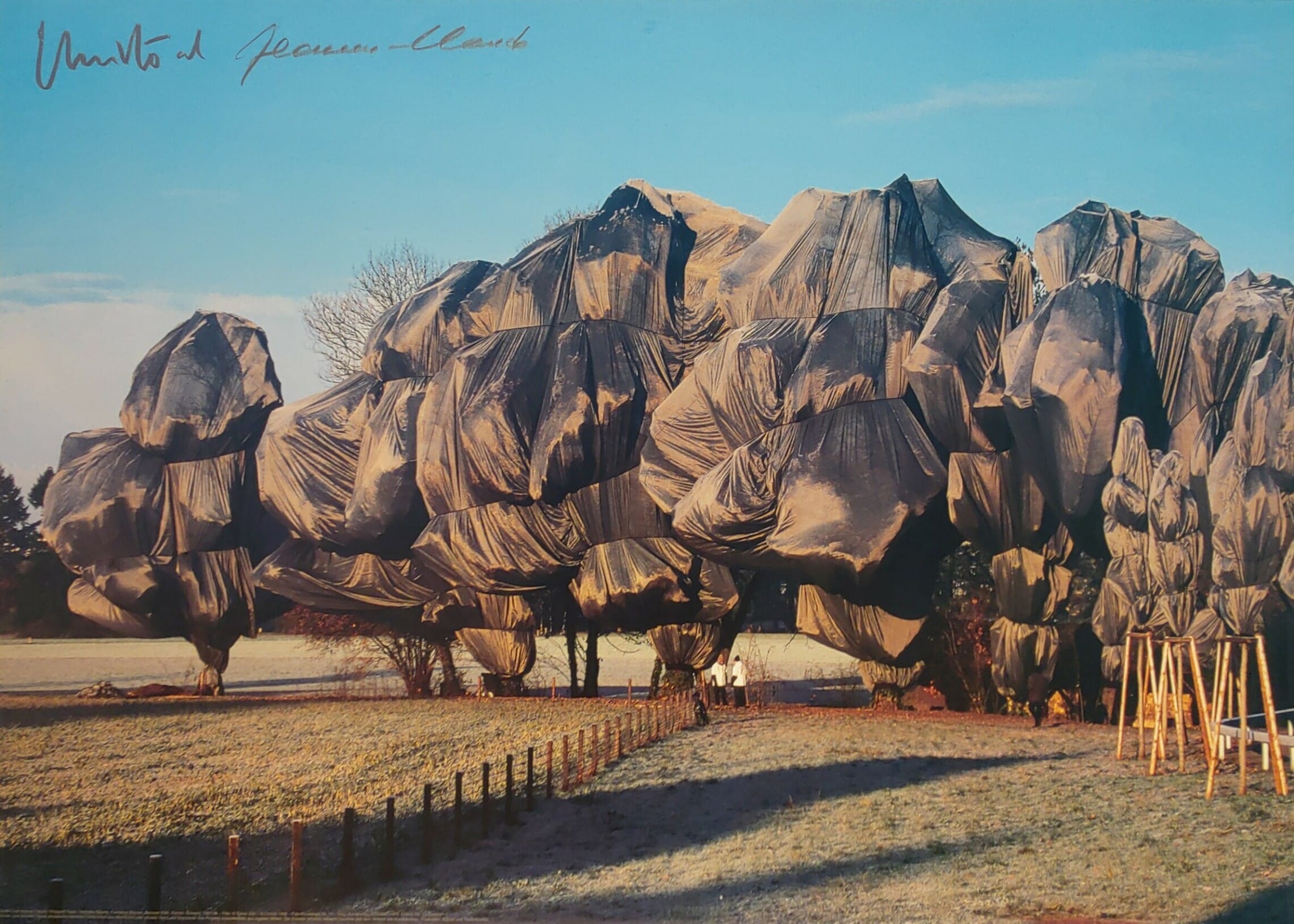 Christo + Jeanne Claude (1935-2020 bzw. 1935-2009) 'Wrapped Trees' Project for Fondation Beyeler. Farbiger Offsetdruck. einem Foto von Sylvia Volz, auf Offsetkarton 50 x 70 cm (1998). Signiert oben links. Im Unterrand typographisch bezeichnet. Mit Stahlrahmen hinter Glas.